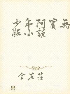 少年阿宾无删减版小说