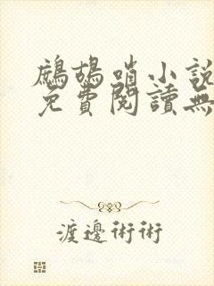 鹧鸪哨小说网站免费阅读无弹窗