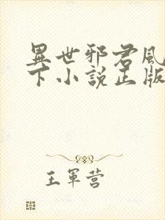 异世邪君风凌天下小说正版