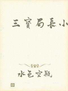 三宝局长小说封面