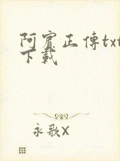 阿宾正传txt下载