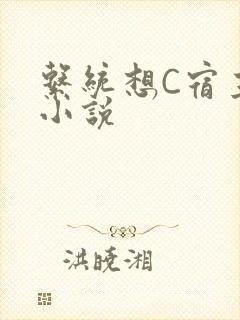 系统想C宿主的小说