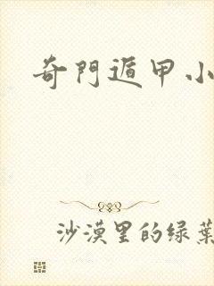 奇门遁甲小说封面