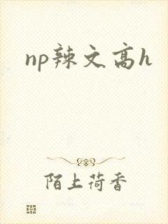 np辣文高h