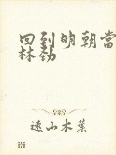 回到明朝当王爷林劲