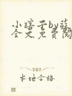 小瞎子by苏软全文免费阅读