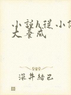 小说h从小做到大养成封面