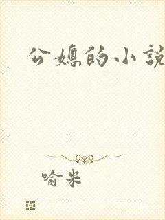 公媳的小说