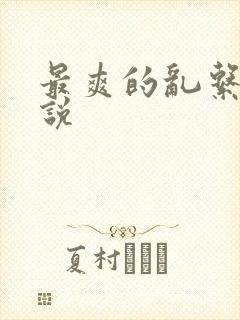 最爽的乱系列小说