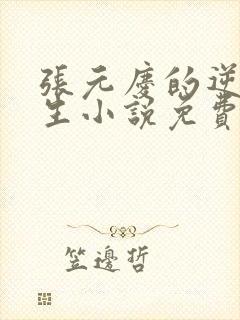 张元庆的逆袭人生小说免费阅读封面