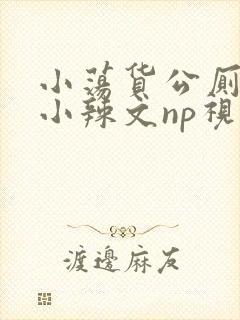 小荡货公厕h文小辣文np视频