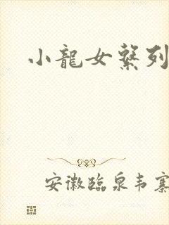 小龙女系列小说