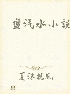 盐汽水小说封面