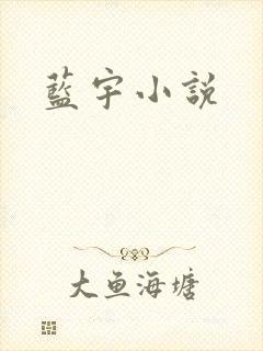 蓝宇小说