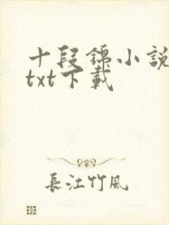 十段锦小说全本txt下载