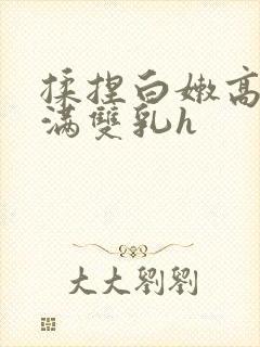 揉捏白嫩高耸饱满双乳h