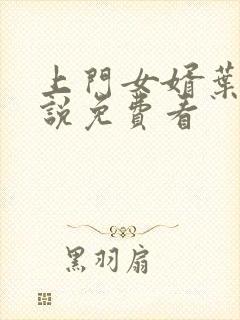 上门女婿叶辰小说免费看