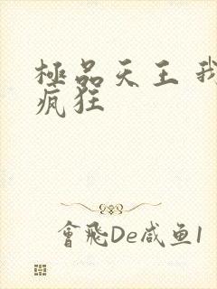 极品天王 我本疯狂