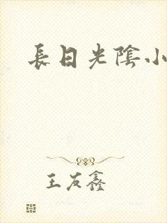 长日光阴小说