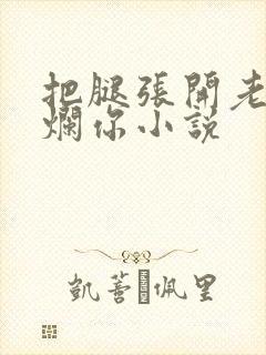 把腿张开老子臊烂你小说