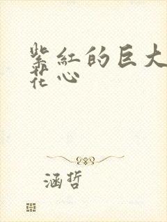 紫红的巨大顶开花心