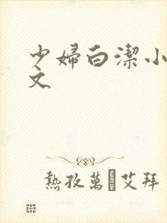 少妇白洁小说全文封面