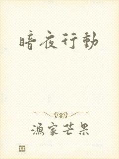 暗夜行动封面