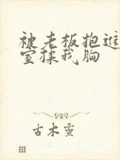 被老板抱进办公室揉我胸