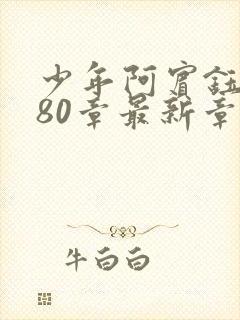 少年阿宾钰慧篇80章最新章节