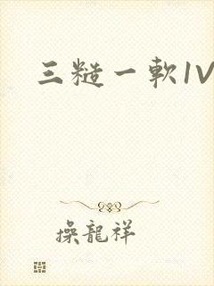 三糙一软1V3