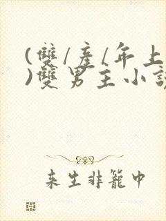 (双/产/年上)双男主小说