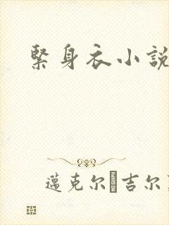 紧身衣小说