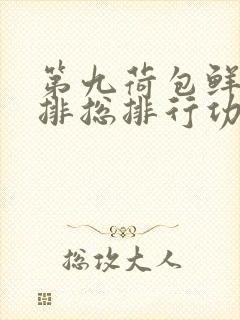 第九荷包鲜辣肉排总排行功能介绍