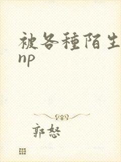 被各种陌生人 np