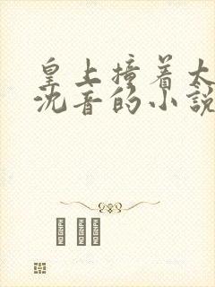 皇上撞着太子妃沈音的小说叫什么封面