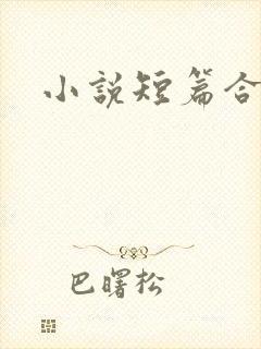 小说短篇合集h