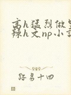 高h猛烈做哭高辣h文np小说封面