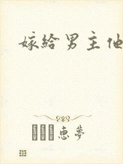 嫁给男主他爸爸封面