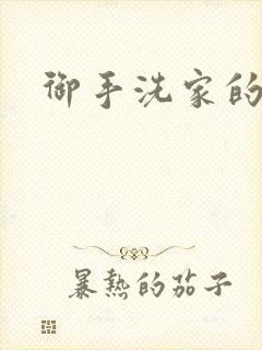 御手洗家的墙洞