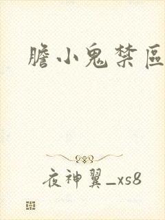 胆小鬼禁区封面