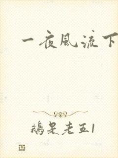 一夜风流下载