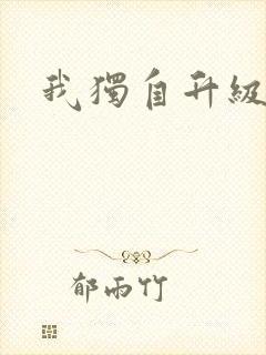 我独自升级小说