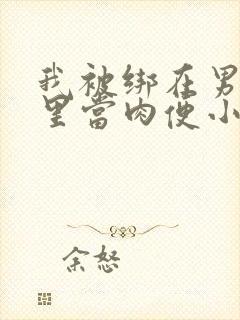 我被绑在男公厕里当肉便小说