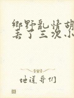 乡野乱情胡秀英丢了三次小说封面