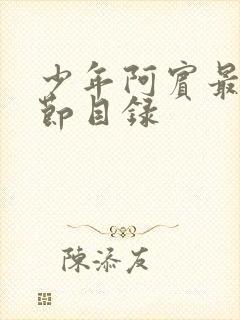 少年阿宾最新章节目录