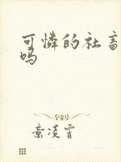 可怜的社畜双洁吗封面