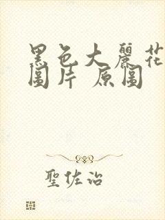 黑色大丽花真实图片 原图