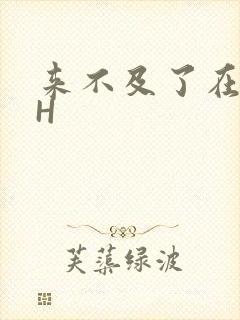 来不及了在车CH