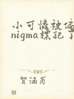 小可怜被偏执enigma标记了by免费阅读