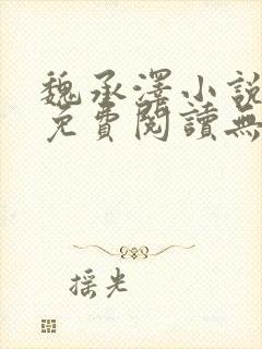 魏承泽小说全文免费阅读无弹窗笔趣